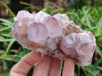 Natural Amethyst Spirit Quartz Clusters x 3 From Boekenhouthoek, South Africa - Toprock Gemstones and Minerals
