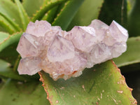 Natural Amethyst Spirit Quartz Clusters x 3 From Boekenhouthoek, South Africa - Toprock Gemstones and Minerals