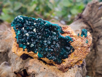 Natural Dioptase On Dolomite Specimens x 3 From Likasi, Congo - Toprock Gemstones and Minerals