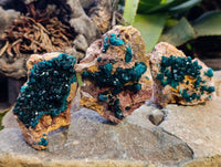 Natural Dioptase On Dolomite Specimens x 3 From Likasi, Congo - Toprock Gemstones and Minerals