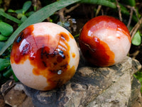 Polished Carnelian Spheres x 3 From Madagascar - Toprock Gemstones and Minerals