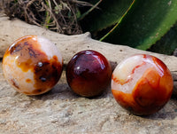 Polished Carnelian Spheres x 3 From Madagascar - Toprock Gemstones and Minerals