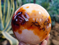 Polished Carnelian Spheres x 3 From Madagascar - Toprock Gemstones and Minerals