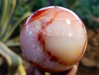 Polished Carnelian Spheres x 3 From Madagascar - Toprock Gemstones and Minerals