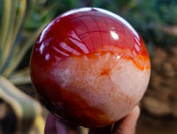Polished Carnelian Spheres x 3 From Madagascar - Toprock Gemstones and Minerals