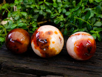Polished Carnelian Spheres x 3 From Madagascar - Toprock Gemstones and Minerals