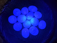 Polished Green Fluorite Palm Stones x 20 From Madagascar - Toprock Gemstones and Minerals