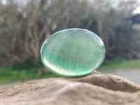 Polished Green Fluorite Palm Stones x 20 From Madagascar - Toprock Gemstones and Minerals