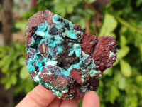 Natural Drusy Coated Chrysocolla with Malachite x 6 From Lupoto Mine, Congo - Toprock Gemstones and Minerals