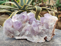 Natural Jacaranda Amethyst Quartz Cluster x 1 From Mumbwa, Zambia - Toprock Gemstones and Minerals