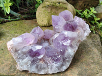 Natural Jacaranda Amethyst Quartz Cluster x 1 From Mumbwa, Zambia - Toprock Gemstones and Minerals