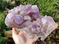 Natural Jacaranda Amethyst Quartz Cluster x 1 From Mumbwa, Zambia - Toprock Gemstones and Minerals