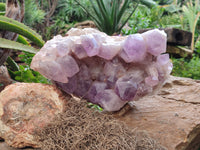Natural Jacaranda Amethyst Quartz Cluster x 1 From Mumbwa, Zambia - Toprock Gemstones and Minerals