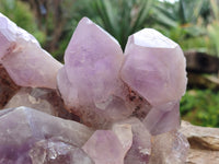 Natural Jacaranda Amethyst Quartz Cluster x 1 From Mumbwa, Zambia - Toprock Gemstones and Minerals