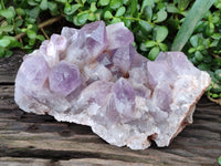 Natural Jacaranda Amethyst Quartz Cluster x 1 From Mumbwa, Zambia - Toprock Gemstones and Minerals