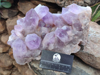 Natural Jacaranda Amethyst Quartz Cluster x 1 From Mumbwa, Zambia - Toprock Gemstones and Minerals