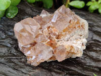 Natural Mixed Amethyst Spirit Quartz Clusters x 12 From Boekenhouthoek, South Africa - Toprock Gemstones and Minerals