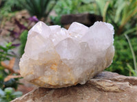 Natural Amethyst Spirit Quartz Clusters x 2 From Boekenhouthoek, South Africa - Toprock Gemstones and Minerals