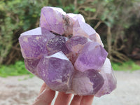 Natural Jacaranda Amethyst Quartz Clusters x 2 From Mumbwa, Zambia - Toprock Gemstones and Minerals