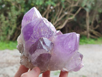 Natural Jacaranda Amethyst Quartz Clusters x 2 From Mumbwa, Zambia - Toprock Gemstones and Minerals