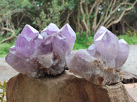 Natural Jacaranda Amethyst Quartz Clusters x 2 From Mumbwa, Zambia - Toprock Gemstones and Minerals