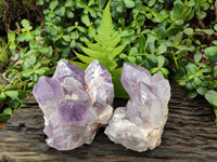 Natural Jacaranda Amethyst Quartz Clusters x 2 From Mumbwa, Zambia - Toprock Gemstones and Minerals