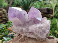 Natural Jacaranda Amethyst Quartz Clusters x 2 From Mumbwa, Zambia - Toprock Gemstones and Minerals