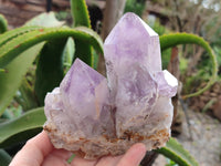 Natural Jacaranda Amethyst Quartz Clusters x 2 From Mumbwa, Zambia - Toprock Gemstones and Minerals