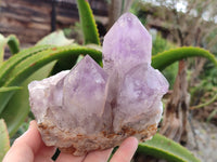 Natural Jacaranda Amethyst Quartz Clusters x 2 From Mumbwa, Zambia - Toprock Gemstones and Minerals
