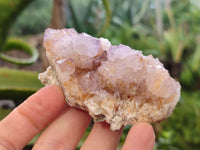 Natural Ametrine Spirit Quartz Clusters x 12 From Boekenhouthoek, South Africa - Toprock Gemstones and Minerals