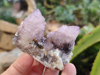 Natural Ametrine Spirit Quartz Clusters x 12 From Boekenhouthoek, South Africa - Toprock Gemstones and Minerals
