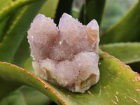 Natural Ametrine Spirit Quartz Clusters x 12 From Boekenhouthoek, South Africa - Toprock Gemstones and Minerals