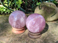 Polished Star Rose Quartz Spheres x 2 From Ambatondrazaka, Madagascar - Toprock Gemstones and Minerals