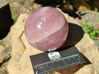Polished Star Rose Quartz Spheres x 2 From Ambatondrazaka, Madagascar - Toprock Gemstones and Minerals