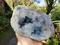 Natural Celestite Geode Specimens x 1 From Sakoany, Madagascar - Toprock Gemstones and Minerals