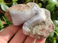 Natural Blue Lace Agate Geode Specimens x 12 From Nsanje, Malawi - Toprock Gemstones and Minerals
