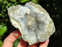 Natural Blue Lace Agate Geode Specimens x 12 From Nsanje, Malawi - Toprock Gemstones and Minerals