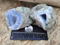 Natural Blue Lace Agate Geode Specimens x 12 From Nsanje, Malawi - Toprock Gemstones and Minerals