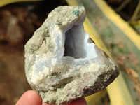 Natural Blue Lace Agate Geode Specimens x 12 From Nsanje, Malawi - Toprock Gemstones and Minerals