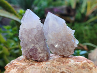 Natural Ametrine Spirit Quartz Crystals x 27 From Boekenhouthoek, South Africa - Toprock Gemstones and Minerals