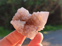 Natural Ametrine Spirit Quartz Crystals x 27 From Boekenhouthoek, South Africa - Toprock Gemstones and Minerals