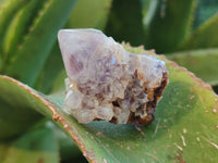 Natural Ametrine Spirit Quartz Crystals x 27 From Boekenhouthoek, South Africa - Toprock Gemstones and Minerals