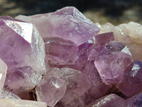 Natural Jacaranda Amethyst Quartz Cluster x 1 From Mumbwa, Zambia - Toprock Gemstones and Minerals