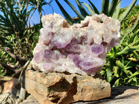 Natural Jacaranda Amethyst Quartz Cluster x 1 From Mumbwa, Zambia - Toprock Gemstones and Minerals