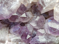 Natural Jacaranda Amethyst Quartz Cluster x 1 From Mumbwa, Zambia - Toprock Gemstones and Minerals