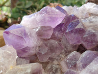 Natural Jacaranda Amethyst Quartz Cluster x 1 From Mumbwa, Zambia - Toprock Gemstones and Minerals