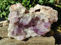 Natural Jacaranda Amethyst Quartz Cluster x 1 From Mumbwa, Zambia - Toprock Gemstones and Minerals