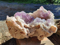 Natural Jacaranda Amethyst Quartz Cluster x 1 From Mumbwa, Zambia - Toprock Gemstones and Minerals