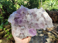 Natural Jacaranda Amethyst Quartz Cluster x 1 From Mumbwa, Zambia - Toprock Gemstones and Minerals