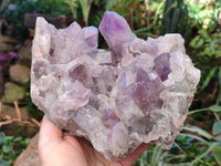 Natural Jacaranda Amethyst Quartz Cluster x 1 From Mumbwa, Zambia - Toprock Gemstones and Minerals